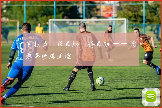 弃拙力・求真松・得真劲 —— 形意拳修炼正途