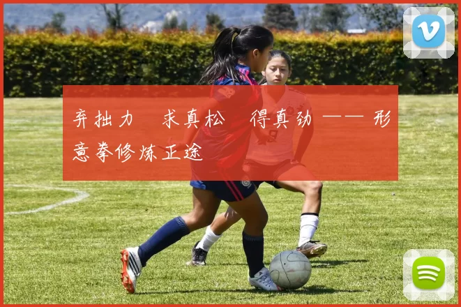 弃拙力・求真松・得真劲 —— 形意拳修炼正途