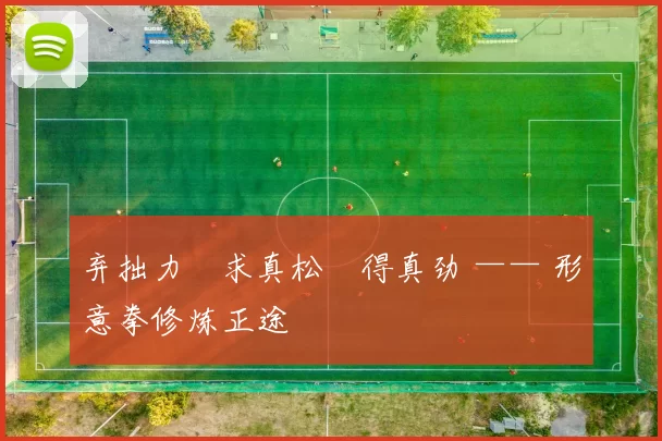 弃拙力・求真松・得真劲 —— 形意拳修炼正途