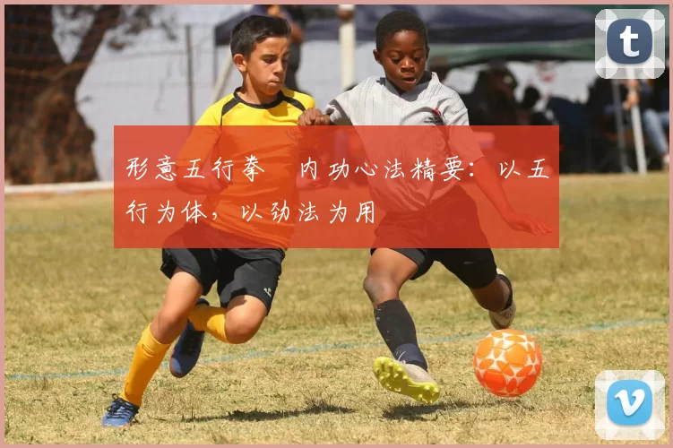 形意五行拳・内功心法精要：以五行为体，以劲法为用