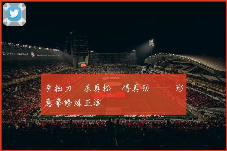 弃拙力・求真松・得真劲 —— 形意拳修炼正途