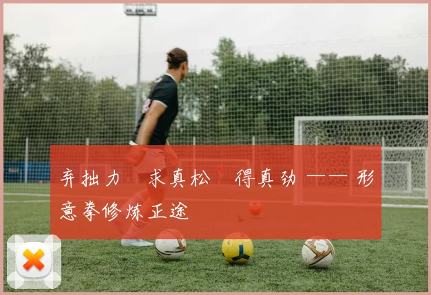 弃拙力・求真松・得真劲 —— 形意拳修炼正途