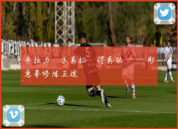 弃拙力・求真松・得真劲 —— 形意拳修炼正途