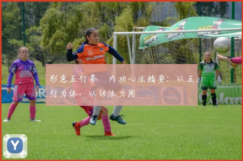 形意五行拳・内功心法精要:以五行为体,以劲法为用