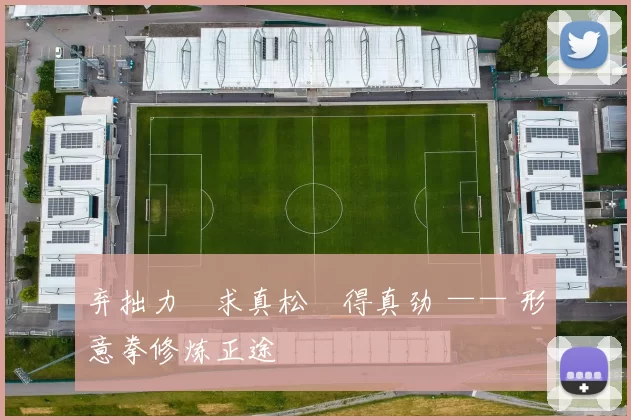 弃拙力・求真松・得真劲 —— 形意拳修炼正途