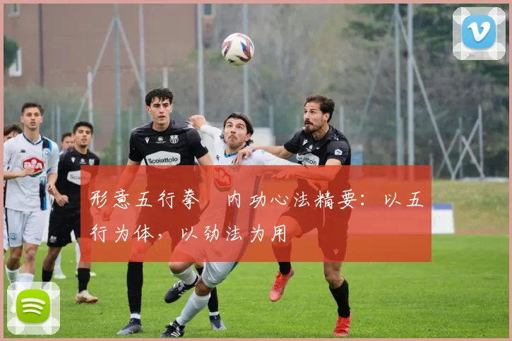 形意五行拳・内功心法精要：以五行为体，以劲法为用