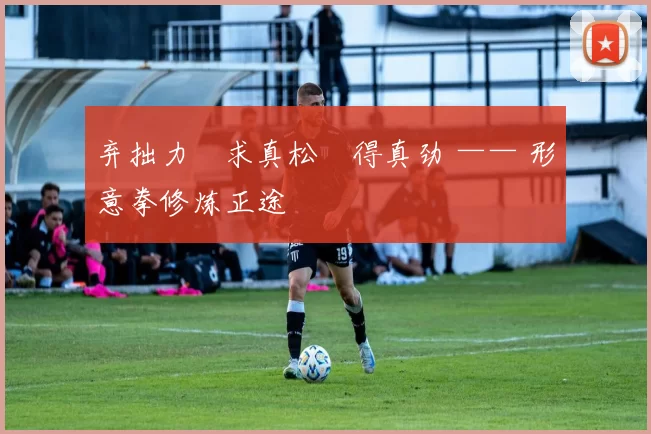 弃拙力・求真松・得真劲 —— 形意拳修炼正途