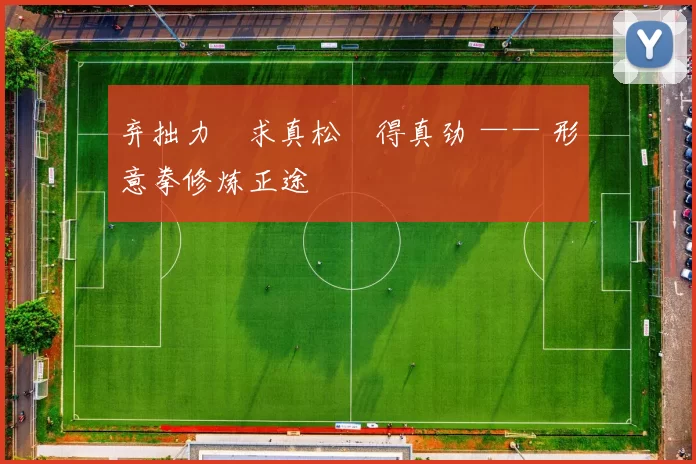 弃拙力・求真松・得真劲 —— 形意拳修炼正途