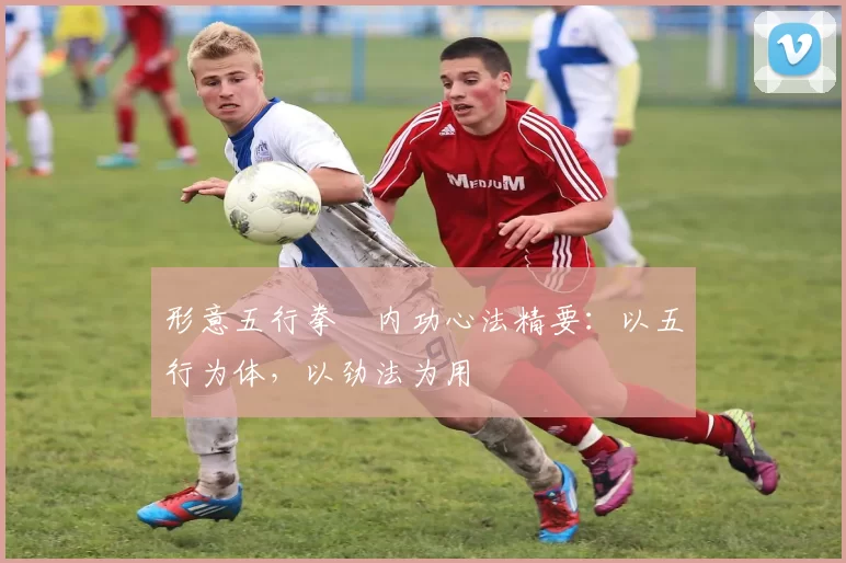 形意五行拳・内功心法精要：以五行为体，以劲法为用