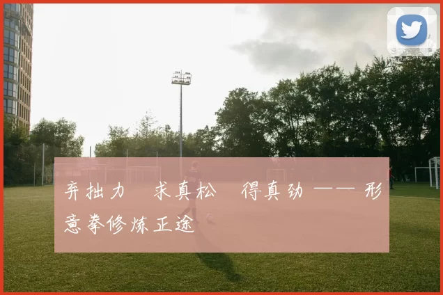 弃拙力・求真松・得真劲 —— 形意拳修炼正途