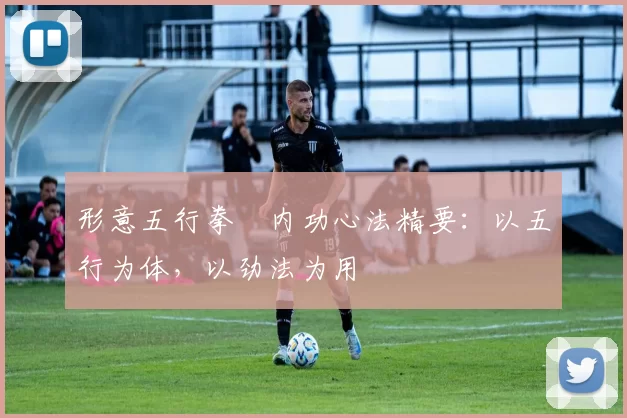 形意五行拳・内功心法精要:以五行为体,以劲法为用