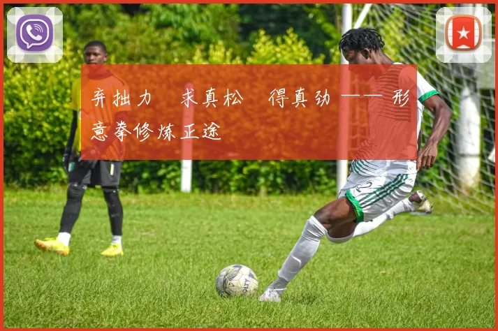 弃拙力・求真松・得真劲 —— 形意拳修炼正途