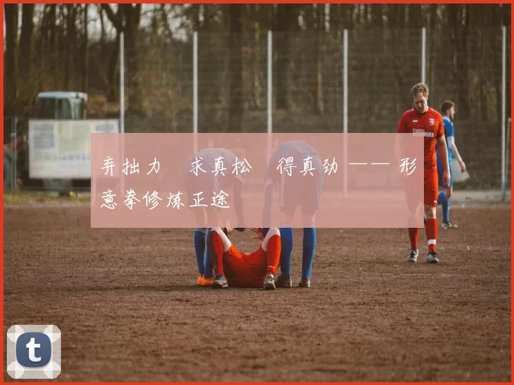 弃拙力・求真松・得真劲 —— 形意拳修炼正途