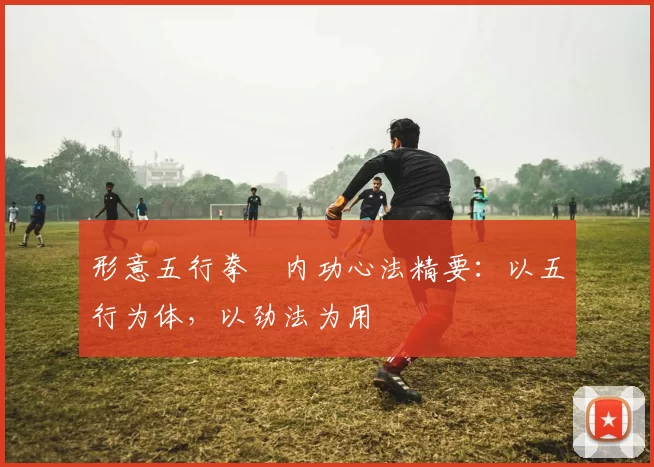 形意五行拳・内功心法精要：以五行为体，以劲法为用