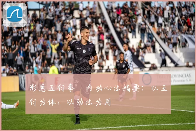 形意五行拳・内功心法精要：以五行为体，以劲法为用