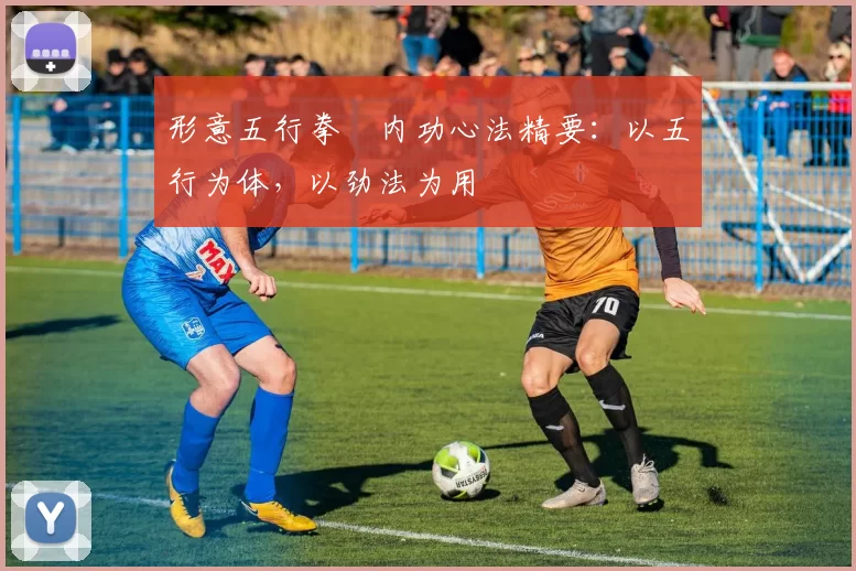 形意五行拳・内功心法精要:以五行为体,以劲法为用