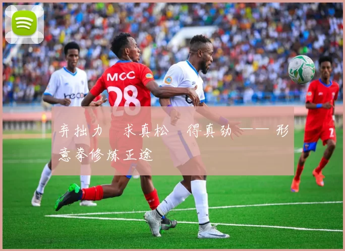 弃拙力・求真松・得真劲 —— 形意拳修炼正途