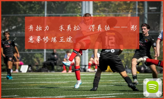 弃拙力・求真松・得真劲 —— 形意拳修炼正途