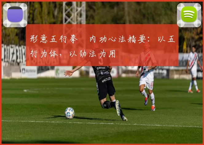 形意五行拳・内功心法精要:以五行为体,以劲法为用