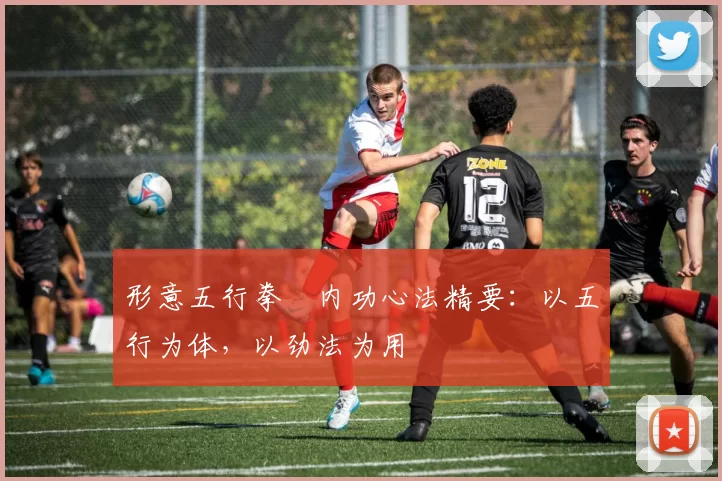 形意五行拳・内功心法精要：以五行为体，以劲法为用