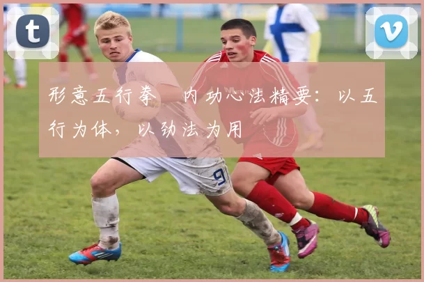 形意五行拳・内功心法精要：以五行为体，以劲法为用