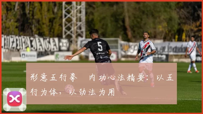 形意五行拳・内功心法精要：以五行为体，以劲法为用