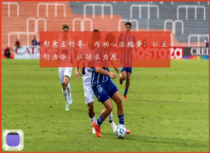 形意五行拳・内功心法精要:以五行为体,以劲法为用