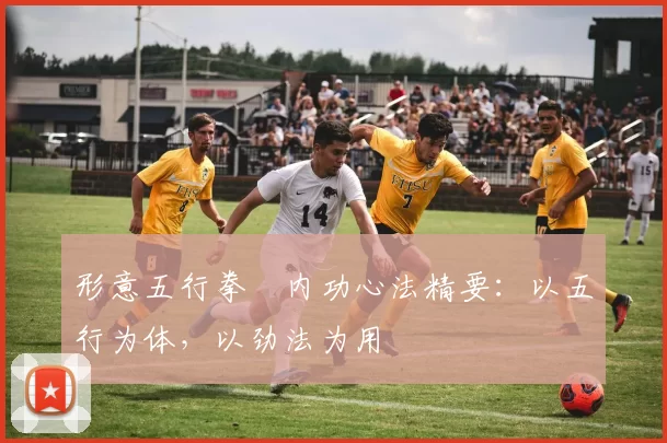 形意五行拳・内功心法精要：以五行为体，以劲法为用