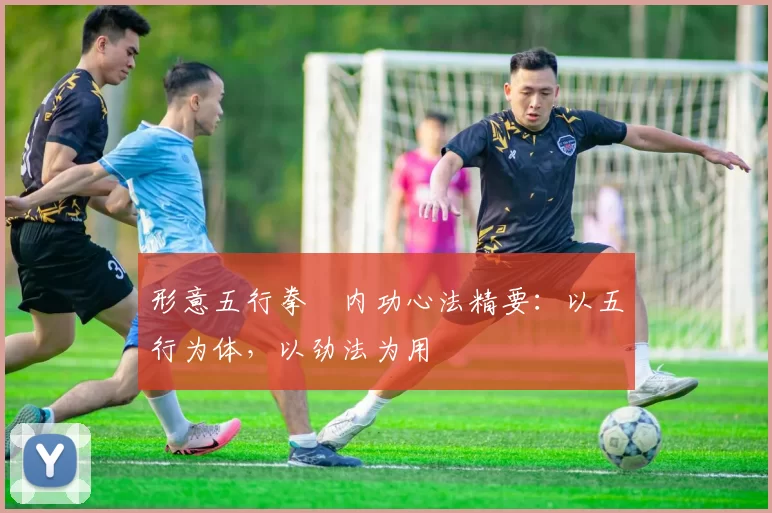 形意五行拳・内功心法精要:以五行为体,以劲法为用