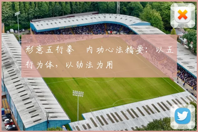 形意五行拳・内功心法精要:以五行为体,以劲法为用