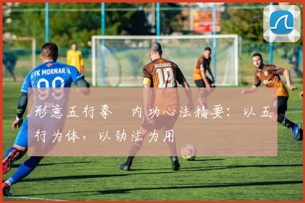 形意五行拳・内功心法精要：以五行为体，以劲法为用