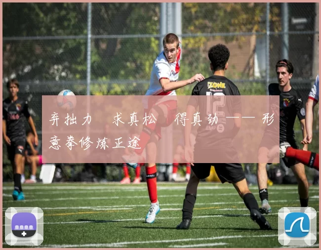 弃拙力・求真松・得真劲 —— 形意拳修炼正途