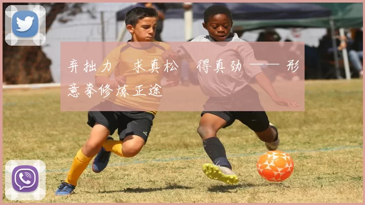 弃拙力・求真松・得真劲 —— 形意拳修炼正途