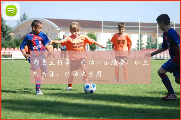 形意五行拳・内功心法精要：以五行为体，以劲法为用