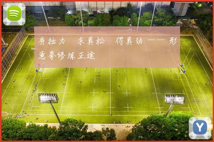 弃拙力・求真松・得真劲 —— 形意拳修炼正途