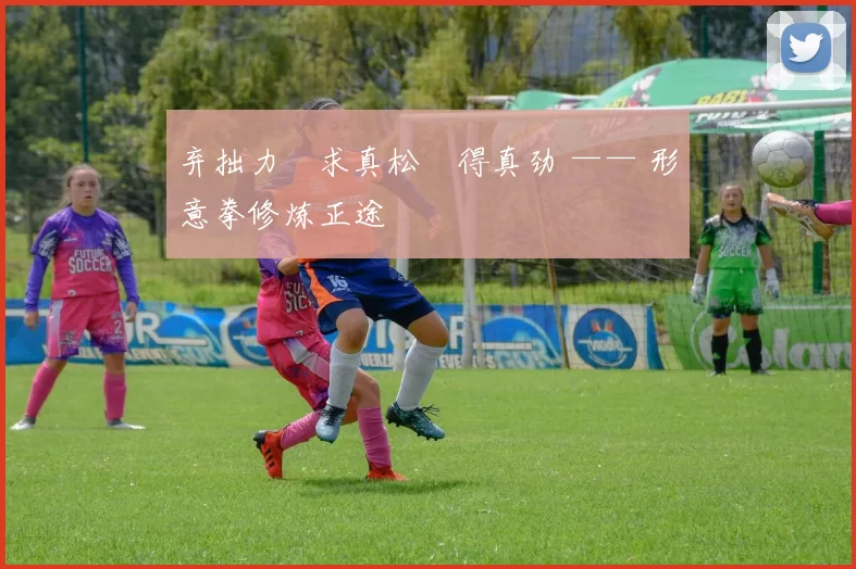 弃拙力・求真松・得真劲 —— 形意拳修炼正途