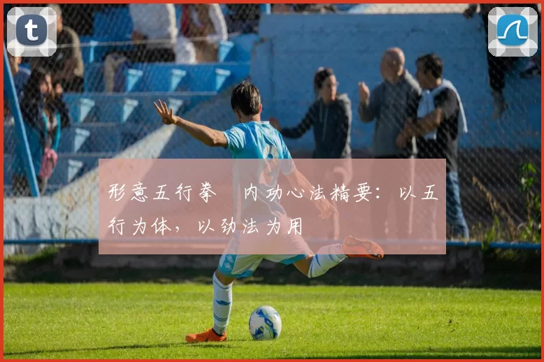 形意五行拳・内功心法精要:以五行为体,以劲法为用