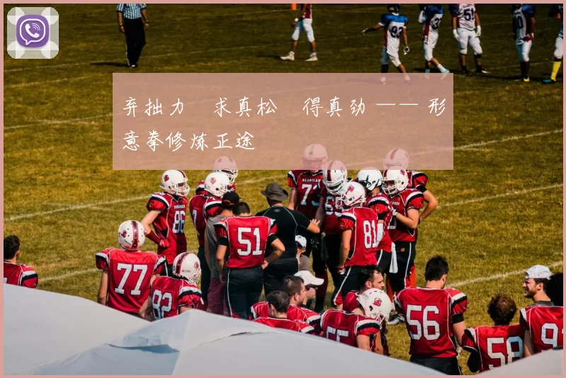 弃拙力・求真松・得真劲 —— 形意拳修炼正途