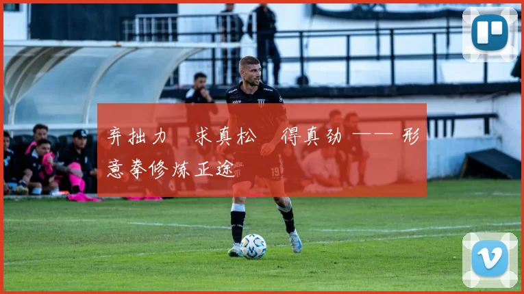 弃拙力・求真松・得真劲 —— 形意拳修炼正途