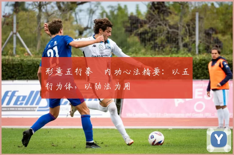 形意五行拳・内功心法精要：以五行为体，以劲法为用