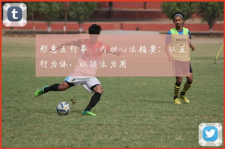 形意五行拳・内功心法精要：以五行为体，以劲法为用