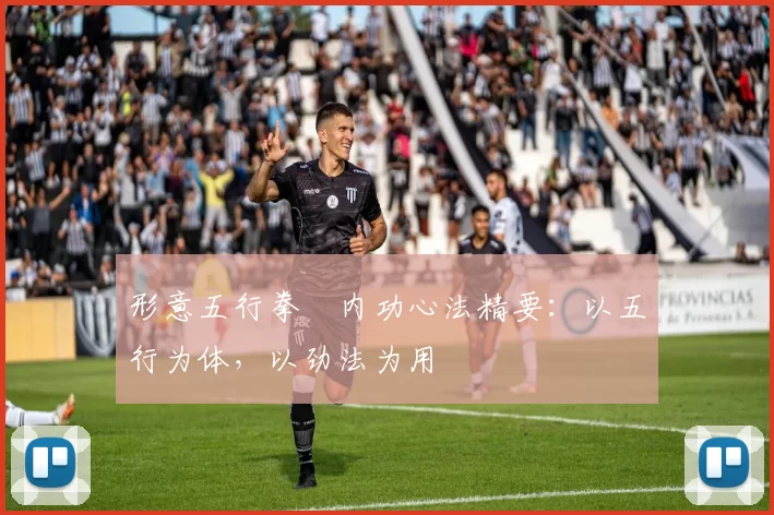 形意五行拳・内功心法精要：以五行为体，以劲法为用