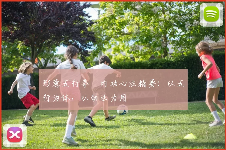 形意五行拳・内功心法精要:以五行为体,以劲法为用