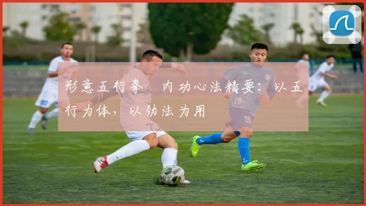 形意五行拳・内功心法精要：以五行为体，以劲法为用