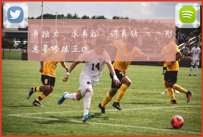 弃拙力・求真松・得真劲 —— 形意拳修炼正途