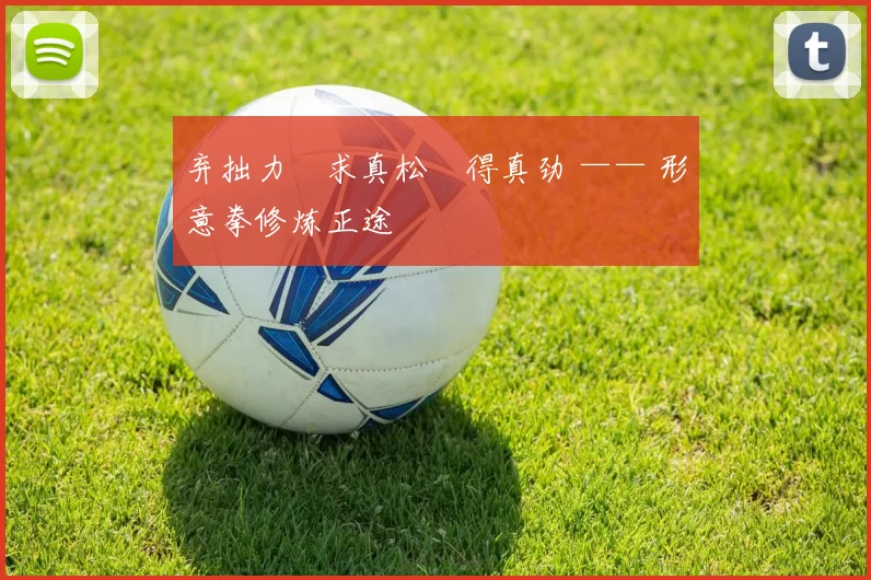 弃拙力・求真松・得真劲 —— 形意拳修炼正途