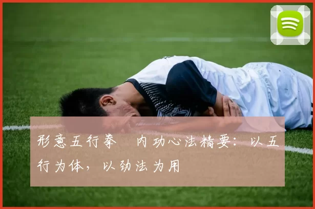 形意五行拳・内功心法精要：以五行为体，以劲法为用