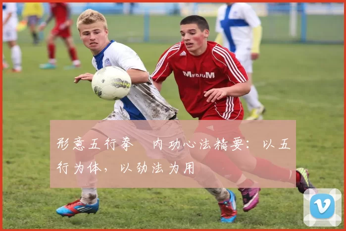 形意五行拳・内功心法精要：以五行为体，以劲法为用