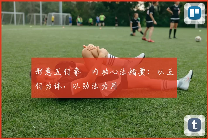 形意五行拳・内功心法精要：以五行为体，以劲法为用