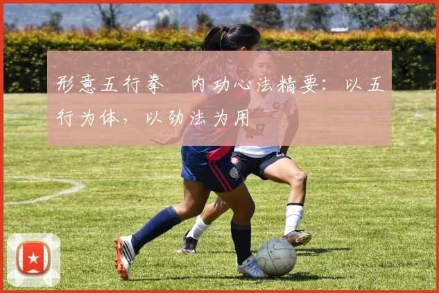 形意五行拳・内功心法精要:以五行为体,以劲法为用